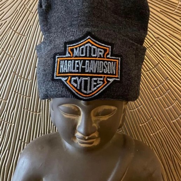 Harley Grey Knit Adult Beanie W/HD Embroidered Logo Patch - Picture 1 of 6